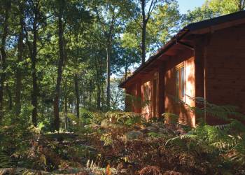 Woodland Park Lodges