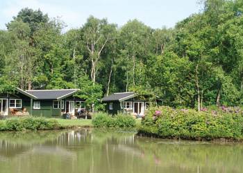 Photo 5 of Great Wood Lodges