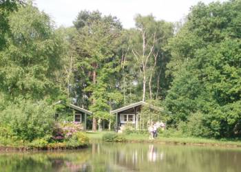 Photo 6 of Great Wood Lodges