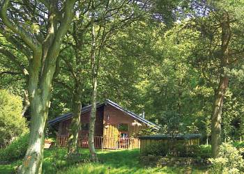 Spring Wood Lodges