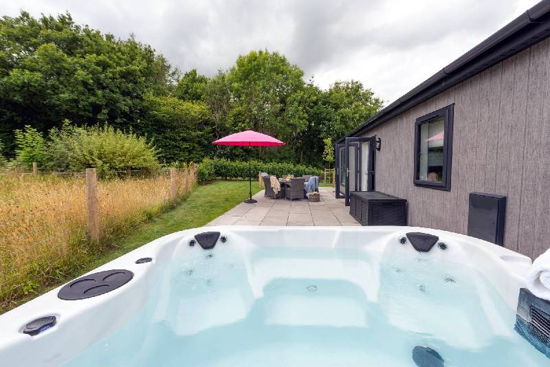 Blossom Lodge, 1 Roadford Lake Lodges a british holiday cottage for 8 in , 