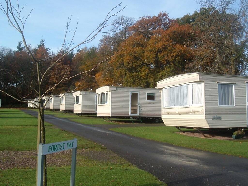 Forest Glade Holiday Park Holiday Lodges in Devon