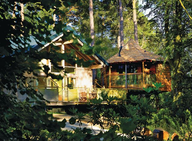 Blackwood Forest Lodges