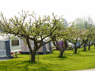 Arrow Bank Holiday Park Holiday Lodges in Herefordshire