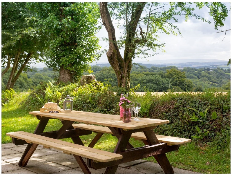 Dartmoor View a british holiday cottage for 9 in , 