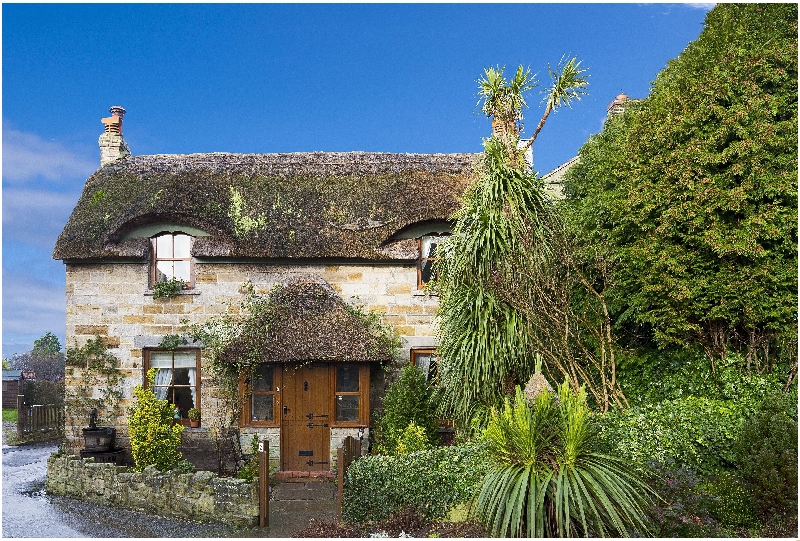 Sunnybank Thatch a british holiday cottage for 4 in , 
