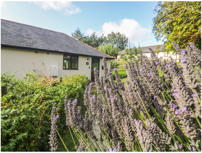 Click here for more about Hazel Cottage
